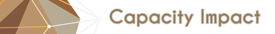 Capacity Building